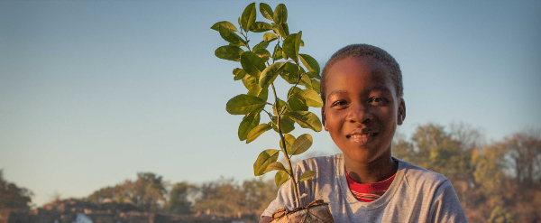 Imagen del informe, un niño con una planta en la mano
