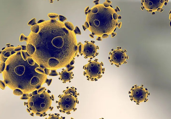 Imagen microscópica del coronavirus