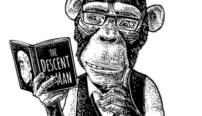 dibujo de un mono leyendo un libro